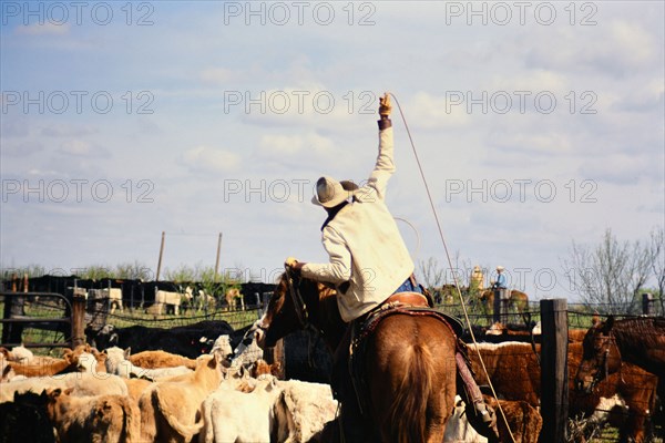 Authentic American Cowboys: 1990s Cowboys in the American west during spring branding time on a ranch near Clarendon Texas ca. 1998.