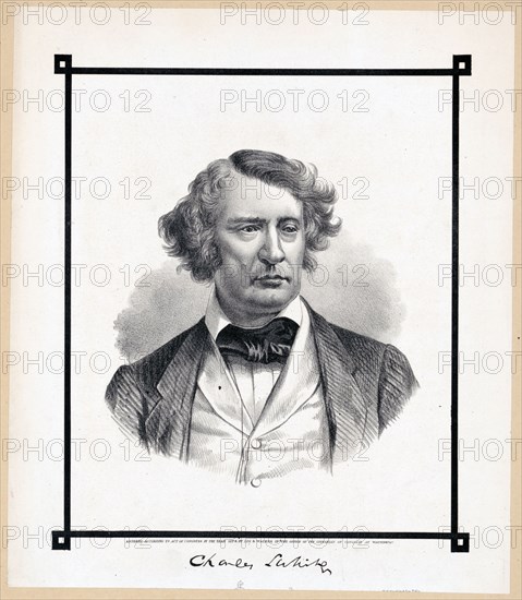 Charles Sumner portrait print ca. 1874