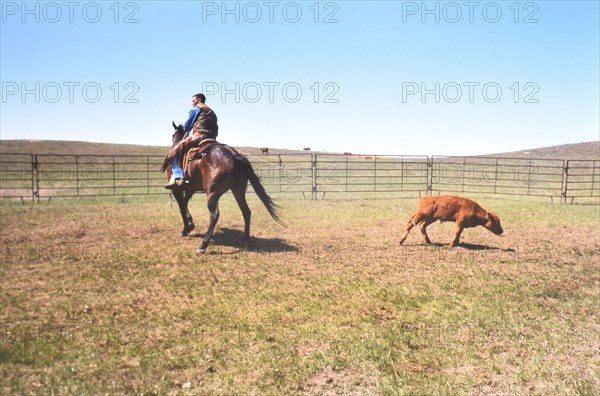 American Cowboys: 1990s Cowboys in the American west during spring branding time on a ranch near Clarendon, Texas ca. 1998-1999.