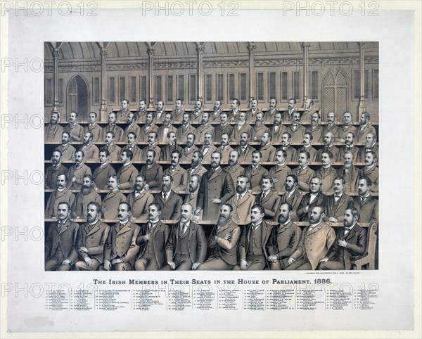 The Irish members in their seats in the House of Parliament, 1886