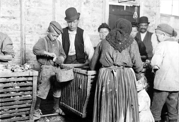 9 year old Johnnie and the shucking boss. He is also a padrone, March 1911