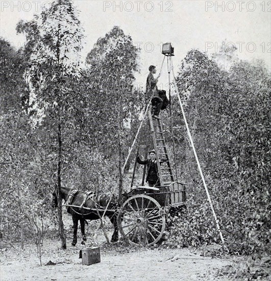 An Orthinologist taking photos of birds ca. 1901