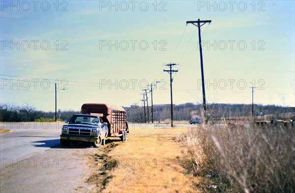 Gathering cattle that had broken free from their pasture in Irving, TX in 1996 or 1997