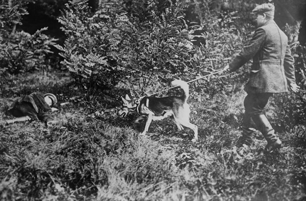 German man with a Red Cross dog searching for wounded soldiers during World War I ca. 1914-1915
