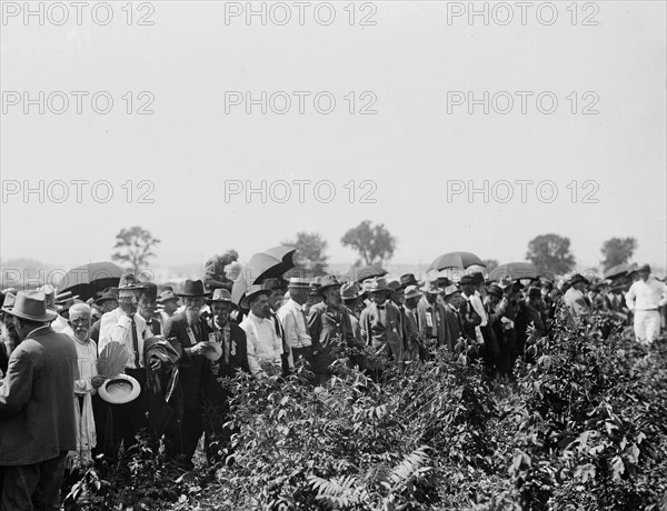 Gettysburg Reunion (the Great Reunion) of July 1913, which commemorated the 50th anniversary of the Battle of Gettysburg - Pickett's men at Bloody Angle