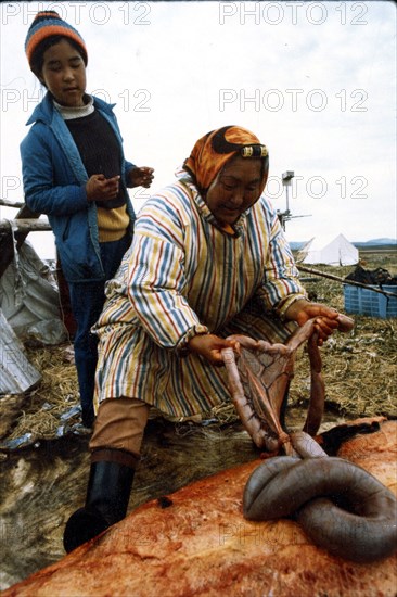 Early 1970s - Eskimo women butchering seal