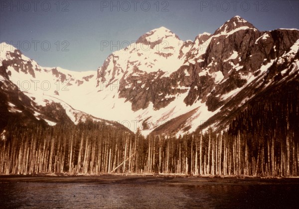 July 1976 - Nuka Bay, North Arm, Alaska