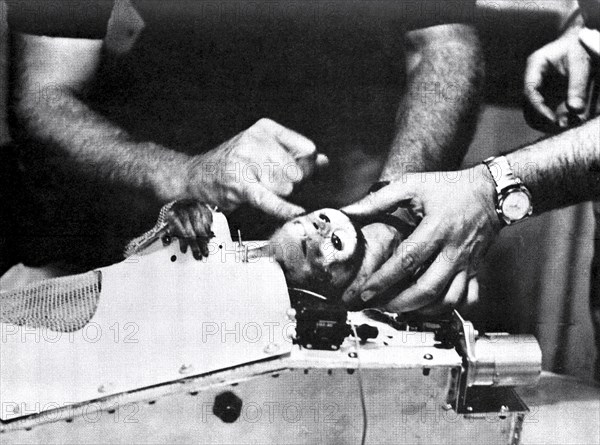 Able, An American-born rhesus monkey. This photograph shows Able after recovery of the nose cone of the Jupiter rocket by U.S.S. Kiowa.