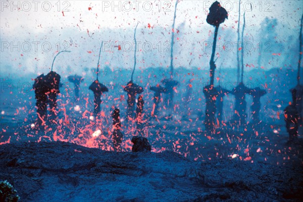 1983 - Hawaii Volcano - In the year of '83 amongst the schlopp and the spatter stood molds of tree trunks, whose lives did once matter. The lava, it flowed, it hugged those tree trunks, till nothing was left but burnt sticks and some stumps.