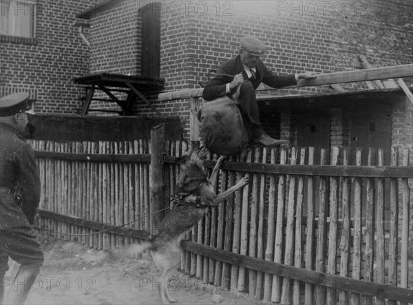 Dog training at the Bielszowice Border Guard police station (Royal Huta Border Inspectorate) ca. 1925-1939