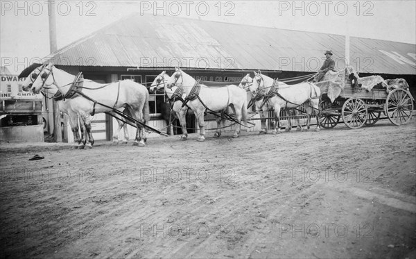Horse team starting on trail to Chitina 1900-1927 Alaska.