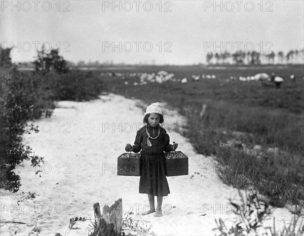 Rose Biodo, Philadelphia, 10 years old. Working 3 summers, minds baby and carries berries, two pecks at a time, September 1910