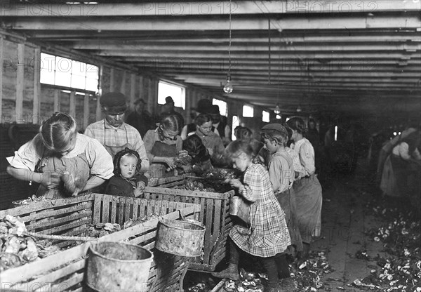 Rosy, an 8 year old oyster shucker works steady all day from about 3 A.M. to 5 P.M. The baby will shuck as soon as she can handle the knife, March 1911