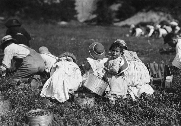 Young pickers on Swift's Bog. All working, September 1911