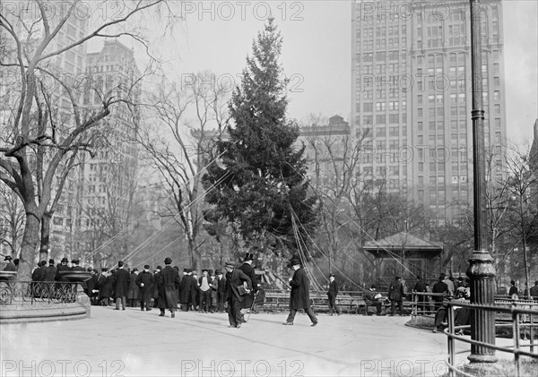 Madison Square Christmas Tree ca. 1910-1915