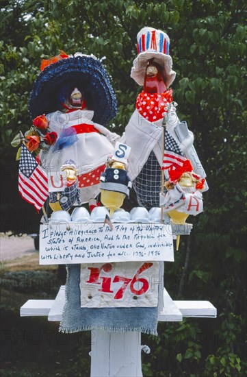 1970s America -   Bi-Centennial Chickens, Kingston, Rhode Island 1976