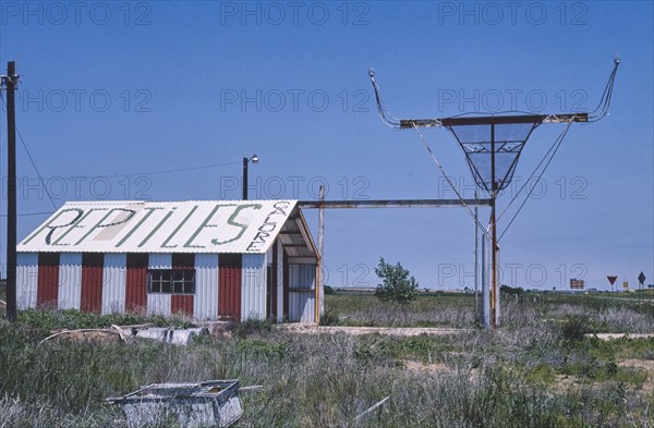 1980s America -   Reptile Galore, east of McLean, Texas 1982