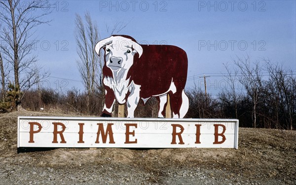 1980s America -  Bull sign, Chittenango, New York 1988