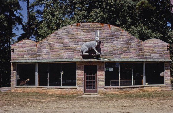 1970s America -   Brown's Taxidermy Studio, El Dorado, Arkansas 1979