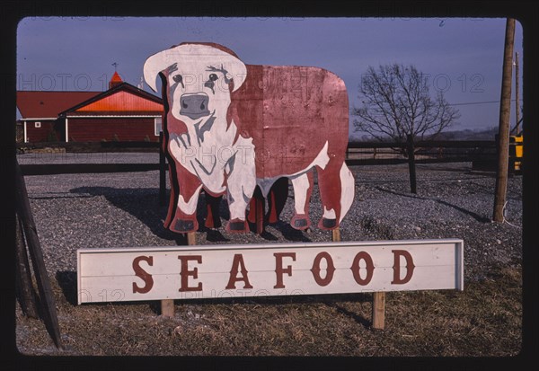 1980s America - Bull sign, seafood, Chittenango, New York 1988