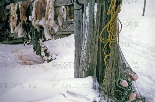 Caribou hides, fish nets ca. March 1974