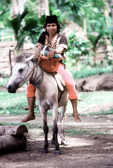 Natives ride a horse in Borneo