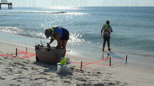 USGS Setting up at Sampling at Orange Beach, Alabama ca. 2010