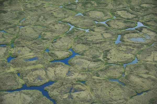 Ice wedge polygons on the north slope of Alaska ca. July 2010