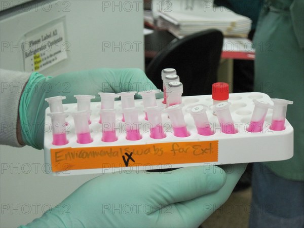 Environmental swabs in a laboratory ready for extraction ca. 2010