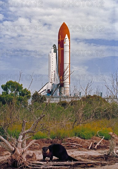 1992 - Endeavour, Orbiter Vehicle (OV) 105, roll out to KSC Launch Complex Pad 39B
