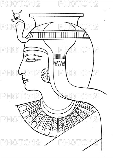 King's head with the Uraeus snake and shoulder collar
