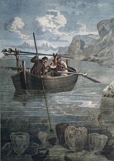 Schwammfischerei in Dalmatien