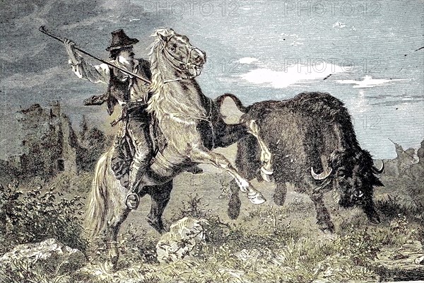 buffalo hunters in america