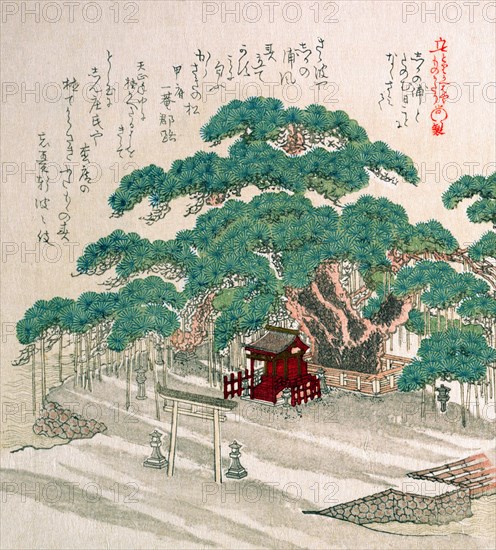 Shrine under a big tree