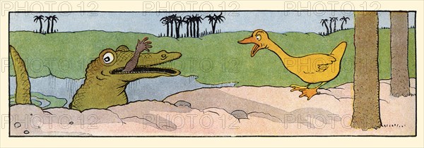 A Crocodile Eats a Native