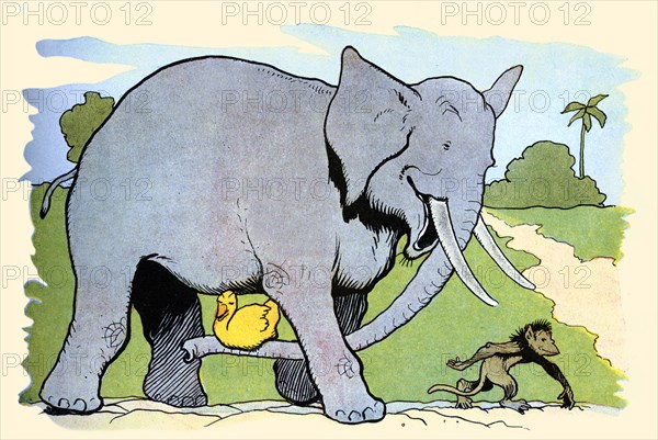 Gedeon Catches a Ride on Gaston, the Elephant