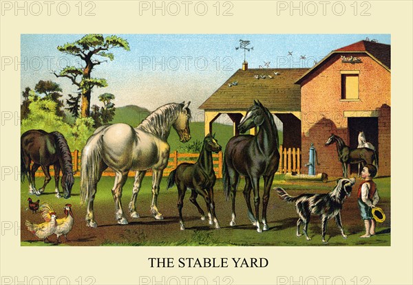 The Stable Yard