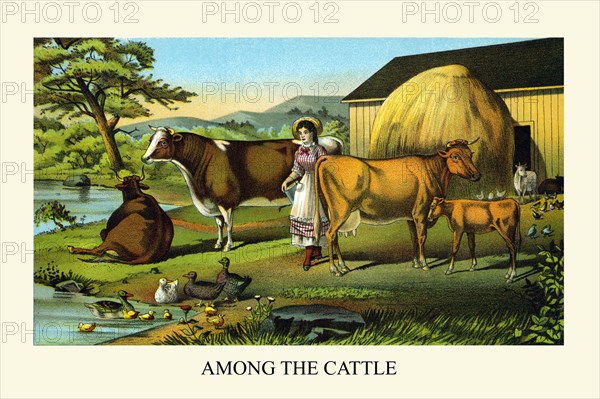 Among the Cattle