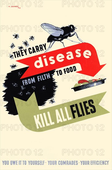 Kill All Flies