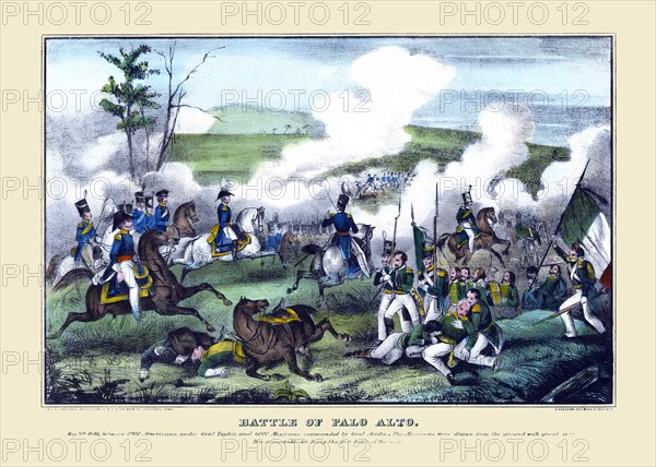 Battle of Palo Alto