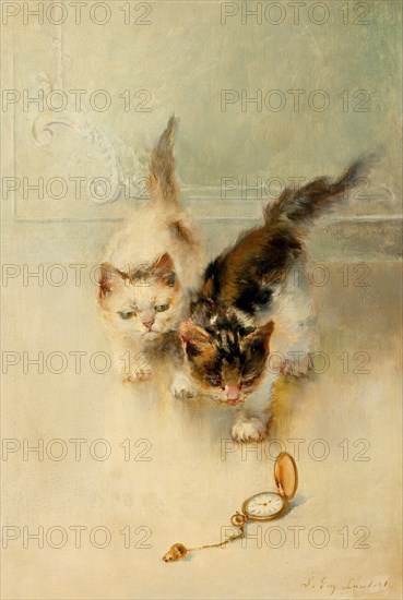 Two Kittens Playing