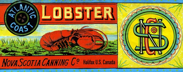 Atlantic Coast Lobster