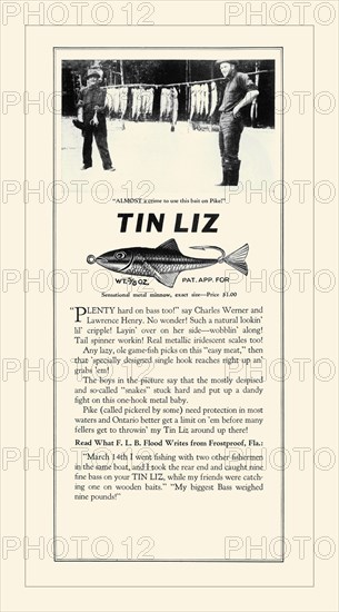 Tin Liz