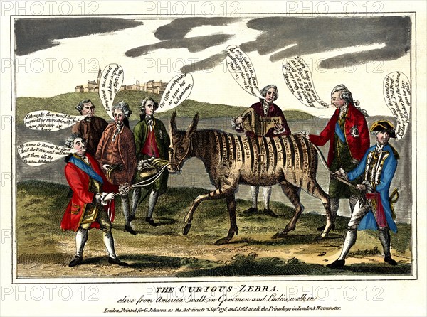 The curious zebra - alive from America!