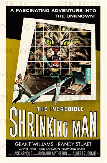 The Incredible Shrinking Man