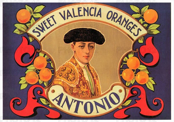 Antonio Sweet Valencia Oranges