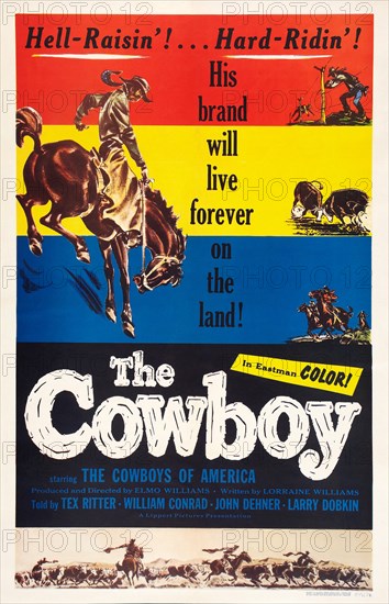 The Cowboy (1S)