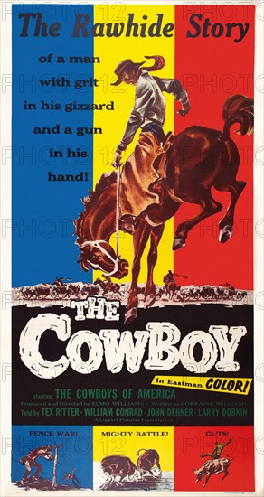 The Cowboy (3S)