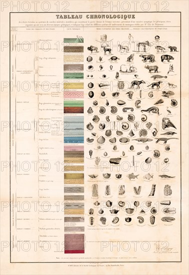 Tableau Chronologique