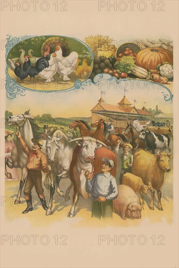 Stock Stock Farm Show Poster